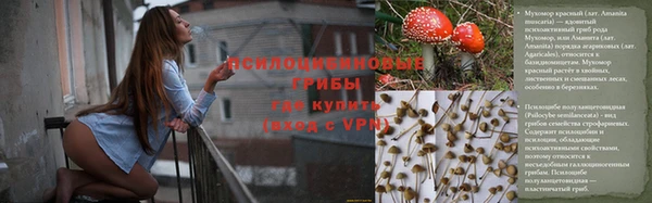 ALPHA-PVP Аркадак