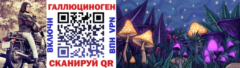 OMG tor  мориарти формула  Ульяновск  Псилоцибиновые грибы GOLDEN TEACHER  наркотики 
