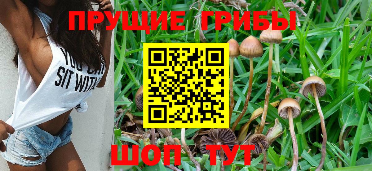 Псилоцибиновые грибы прущие грибы Ульяновск