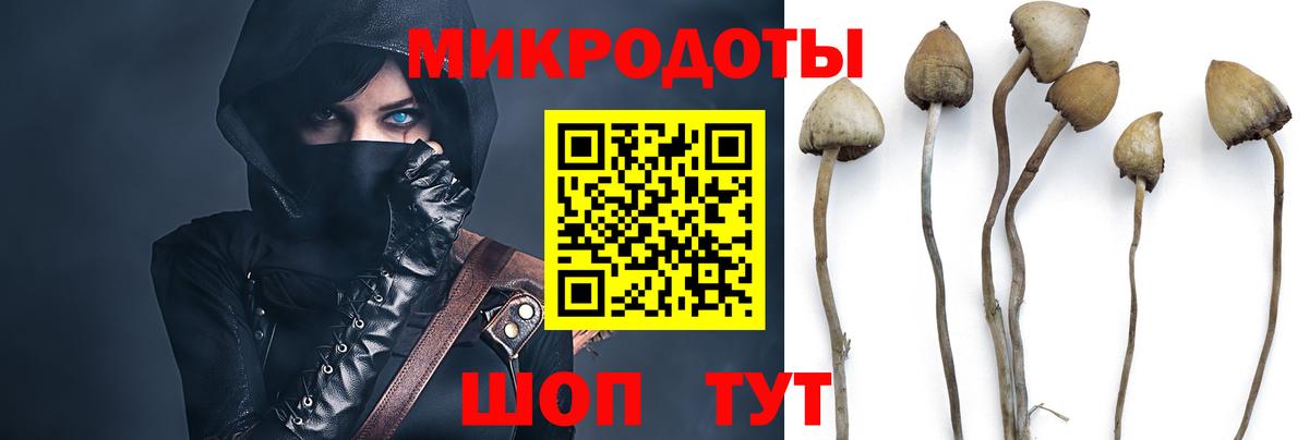 Ульяновск  даркнет сайт  Галлюциногенные грибы Magic Shrooms  Вход с VPN  Галлюциногенные грибы Cubensis 