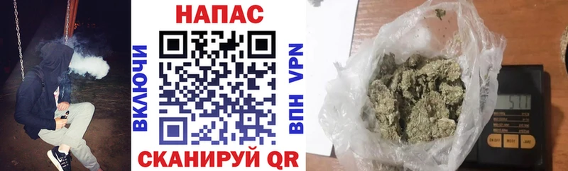 Бошки Шишки конопля Ульяновск